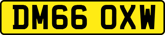 DM66OXW