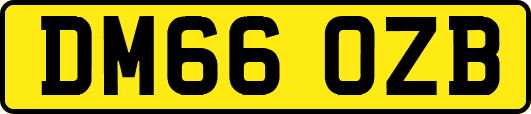 DM66OZB