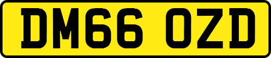 DM66OZD