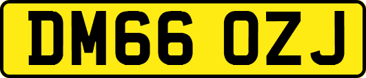 DM66OZJ