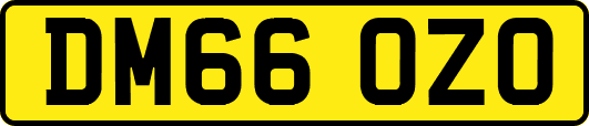 DM66OZO