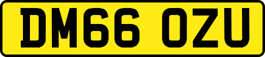 DM66OZU