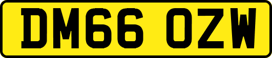 DM66OZW
