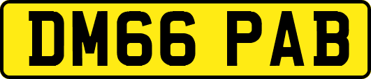 DM66PAB