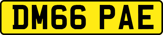 DM66PAE