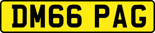 DM66PAG