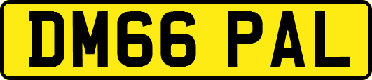 DM66PAL