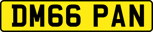 DM66PAN