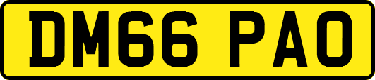 DM66PAO