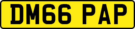 DM66PAP
