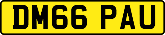 DM66PAU