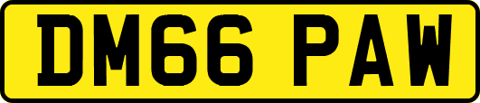 DM66PAW