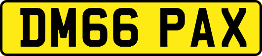 DM66PAX