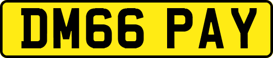 DM66PAY