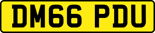 DM66PDU