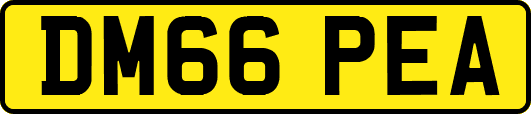 DM66PEA