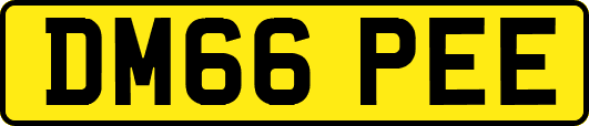 DM66PEE