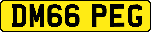 DM66PEG