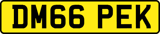 DM66PEK