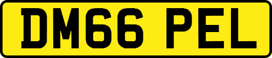 DM66PEL