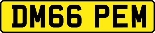 DM66PEM