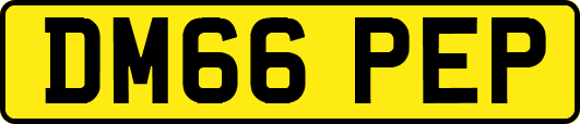 DM66PEP