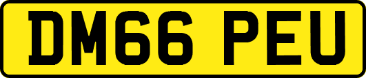 DM66PEU
