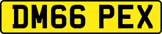 DM66PEX