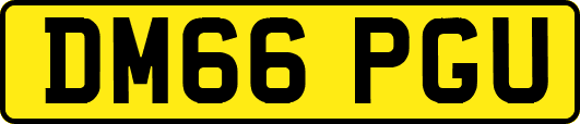 DM66PGU
