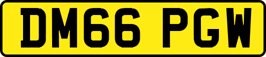 DM66PGW