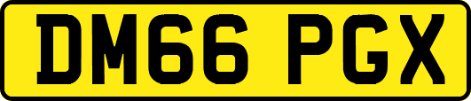 DM66PGX