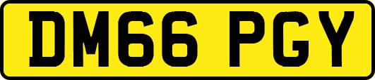 DM66PGY
