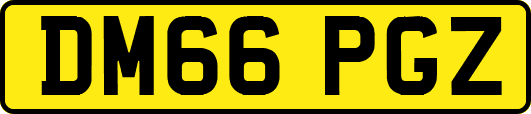 DM66PGZ