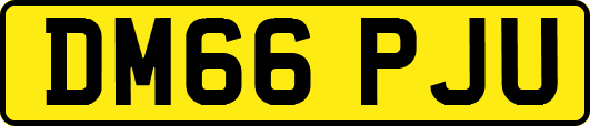 DM66PJU