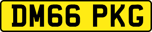 DM66PKG