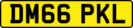 DM66PKL