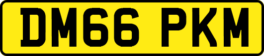 DM66PKM