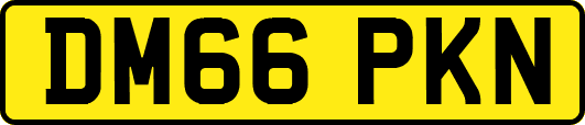 DM66PKN