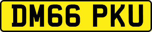 DM66PKU