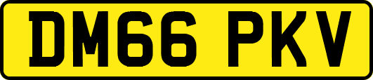 DM66PKV