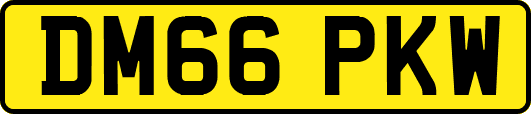 DM66PKW