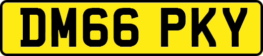 DM66PKY