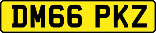 DM66PKZ
