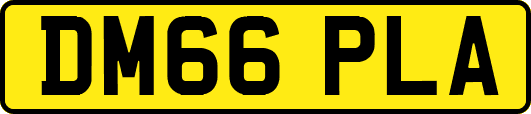 DM66PLA