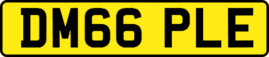 DM66PLE