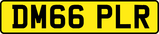 DM66PLR