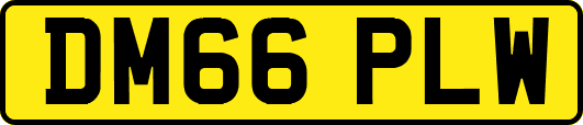 DM66PLW