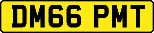 DM66PMT