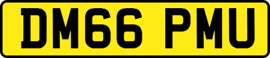 DM66PMU