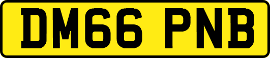 DM66PNB